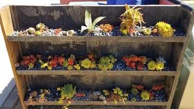 Mersea Restaurant & Bar