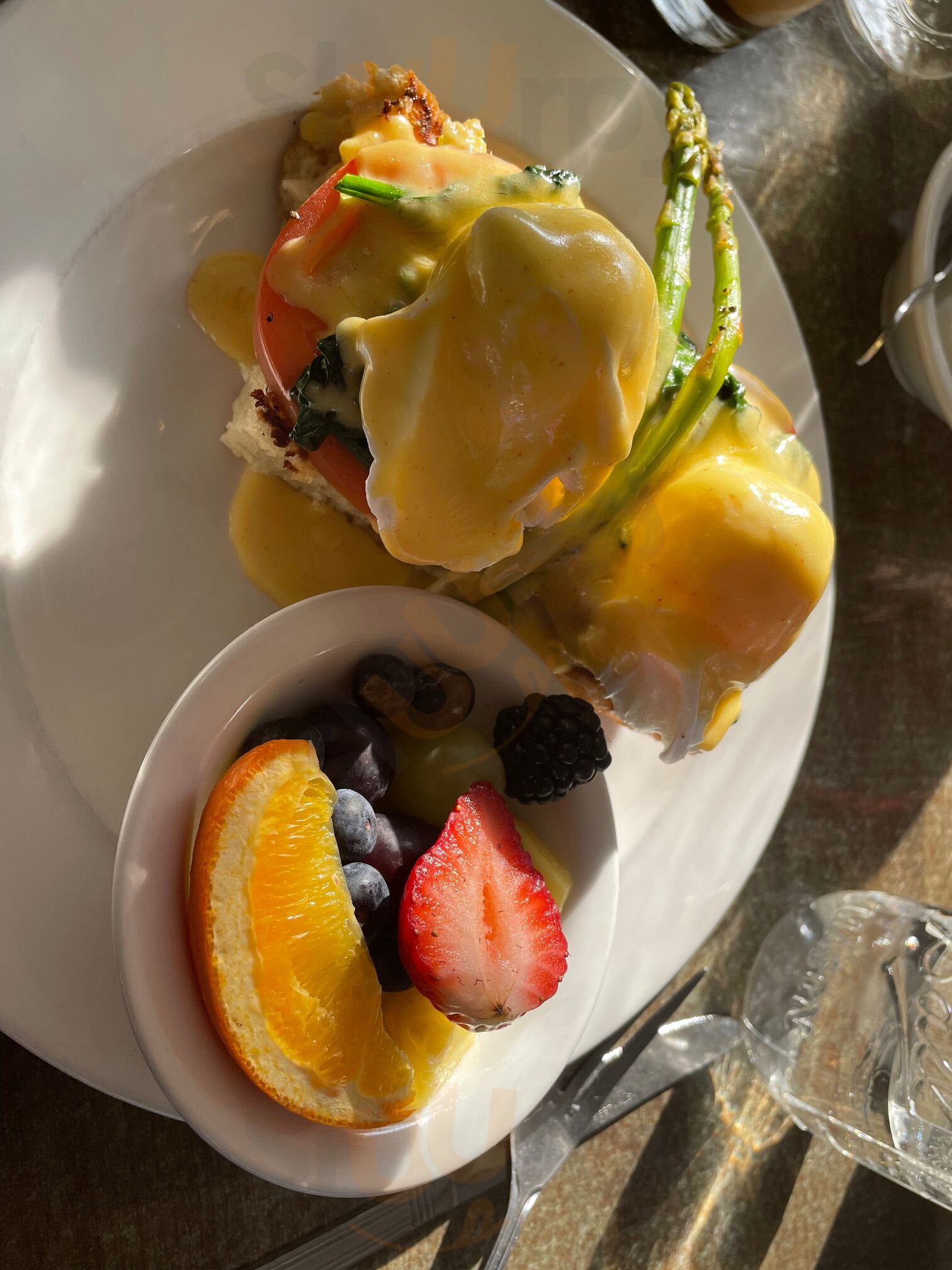 The Bee & The Biscuit