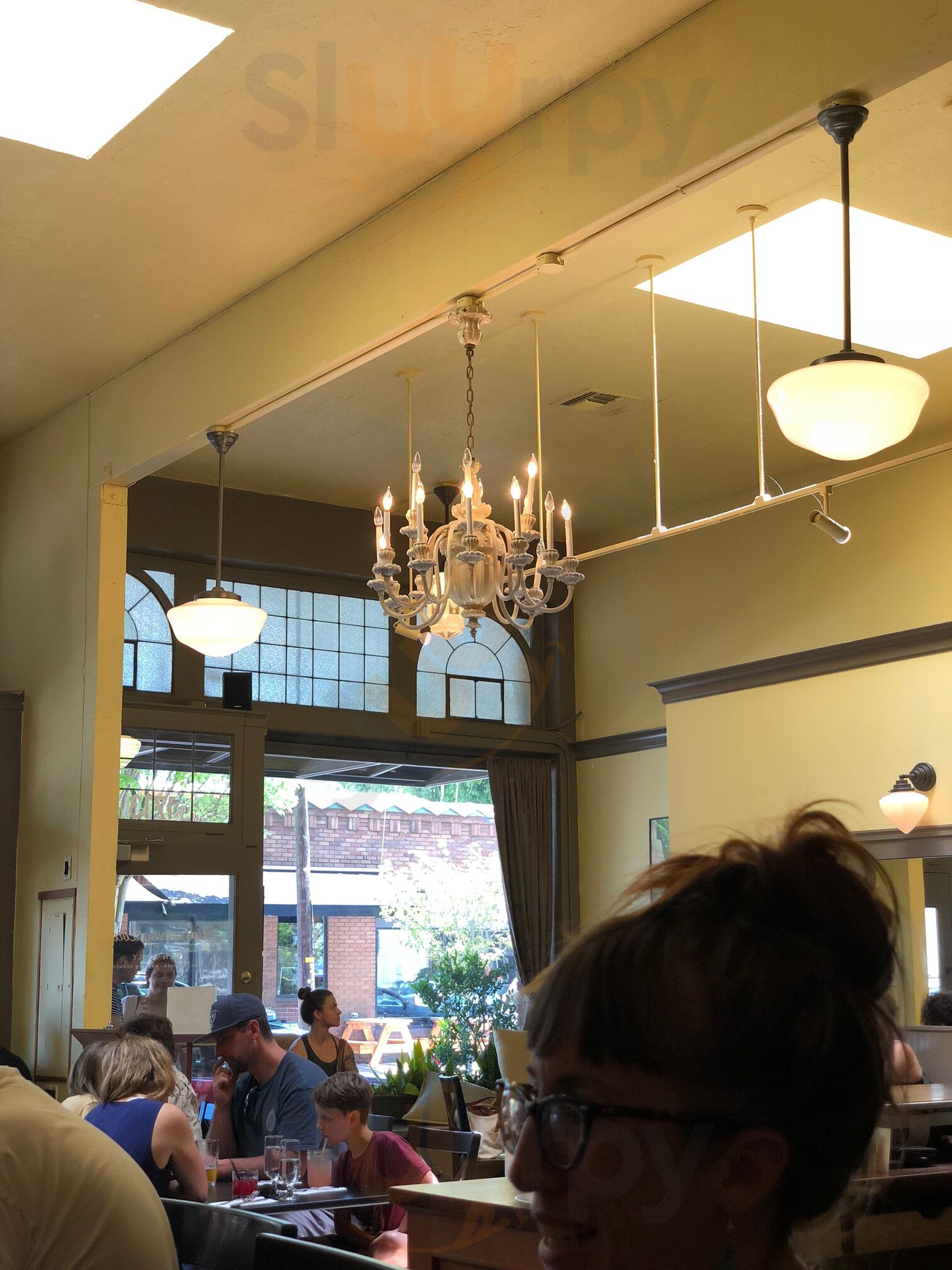 Blossoming Lotus Portland