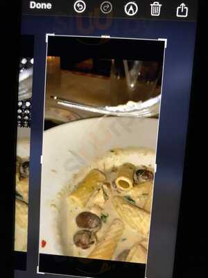 Maggiano's Little Italy