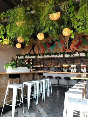 Rachel's Ginger Beer