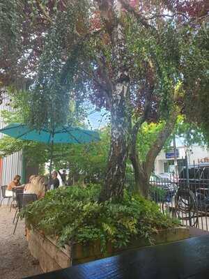 Tin Shed Garden Cafe