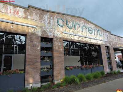 Current Fish & Oyster