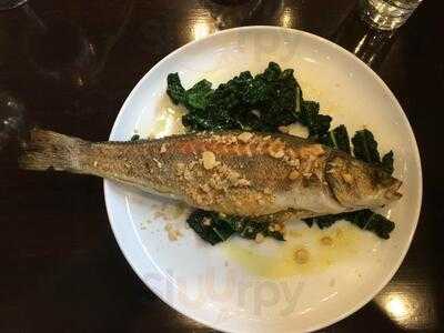 Current Fish & Oyster