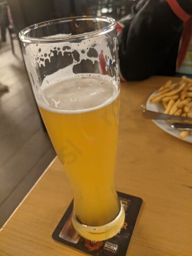 The Olde Mecklenburg Brewery & Biergarten