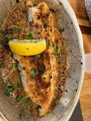 The Daily Catch North End