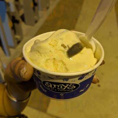 Amy's Ice Cream