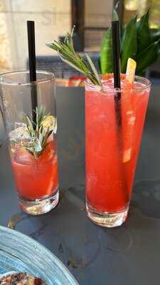 Zocca Cuisine D'italia