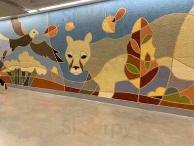 Market Street Grill & Oyster Bar