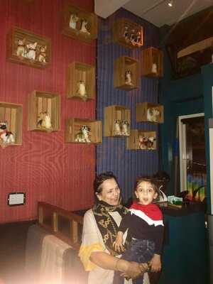 Photo 4