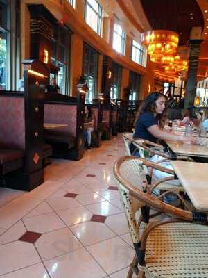 The Cheesecake Factory