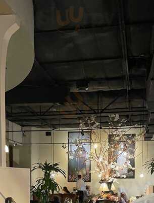 Paloma Blanca Mexican Cuisine