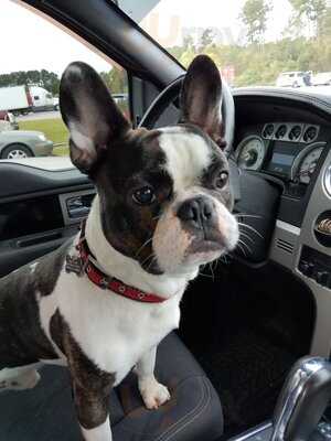 Brixx Wood Fired Pizza