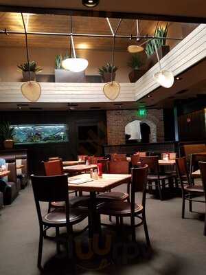 Cheddar's Scratch Kitchen