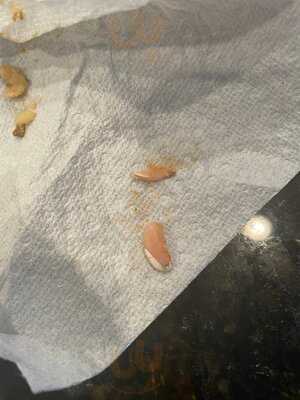 Maggiano's Little Italy