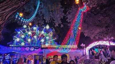 Mozart's Coffee Roasters