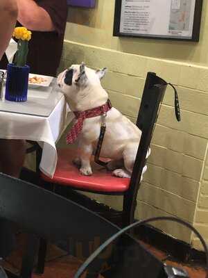 Soluna Cocina Mexicana