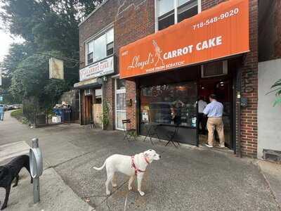 Lloyd's Carrot Cake Shop