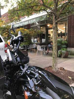 Blue Dog Bakery & Cafe