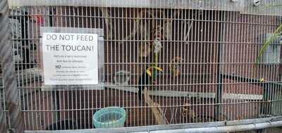 R. Thomas Deluxe Grill