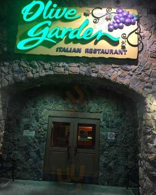 Olive Garden Italian Restaurant