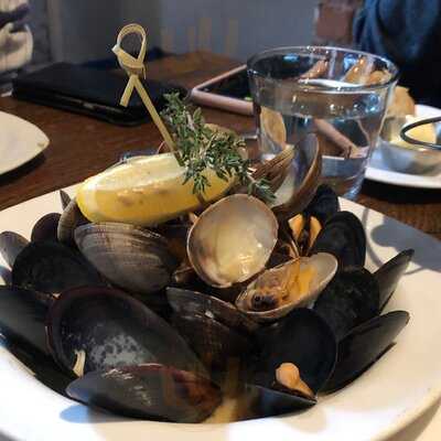 Taylor Shellfish Farms