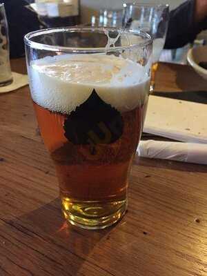 Bosque Brewing Company