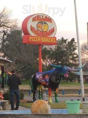 Mellow Mushroom Fort Worth