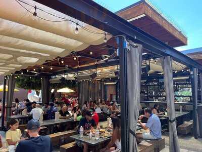 The Crack Shack - Little Italy