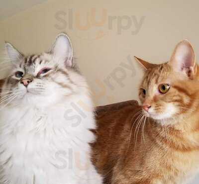 Jilly's Cupcake Bar & Cafe