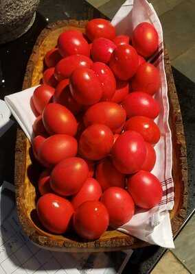 Cypriana Of Roland Park