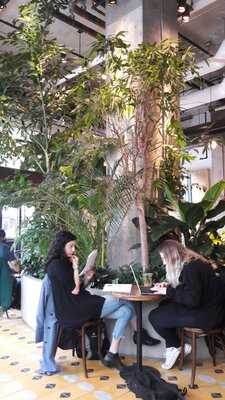 Foto 15647189