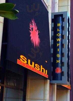 Blowfish Sushi--santana Row