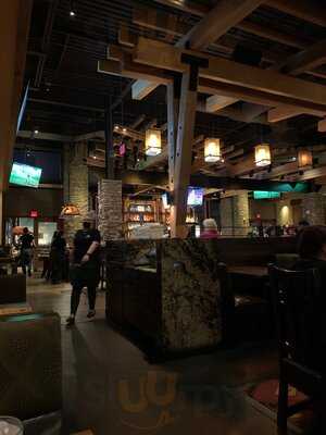 Lazy Dog Restaurant & Bar