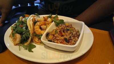 Bj's Restaurant & Brewhouse