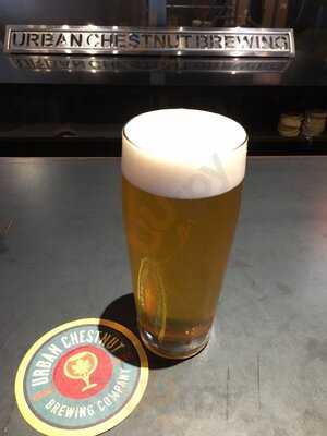 Urban Chestnut Brewing Company