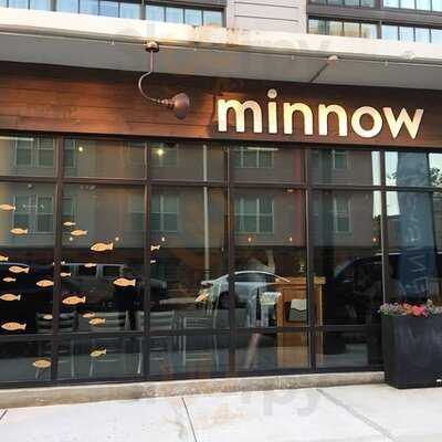 Minnow