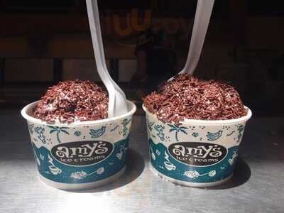 Amy's Ice Creams