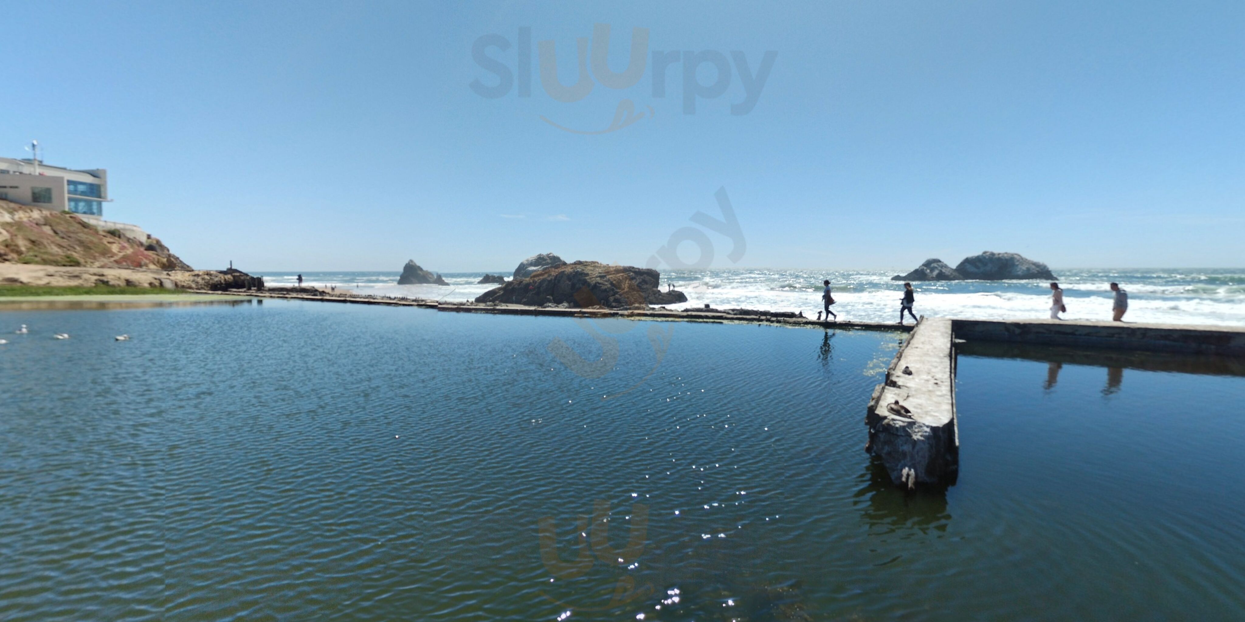 Sutro's