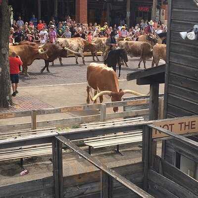 Hyatt Place Fort Worth Historic Stockyards - Gallery Restaurant