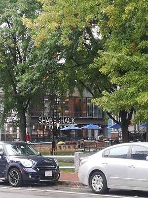 Shake Shack Newbury Street