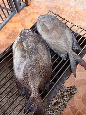 The Butcher Shop Beer Garden & Grill