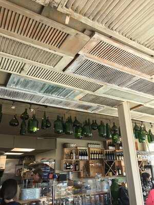 Fern Flavors From The Garden