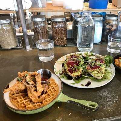 Fern Flavors From The Garden