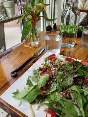 Fern Flavors From The Garden