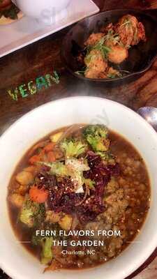 Fern Flavors From The Garden