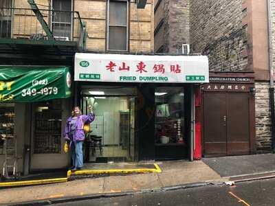 Fried Dumpling