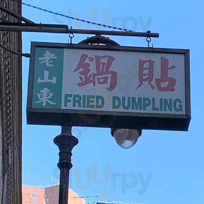 Fried Dumpling