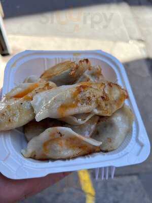 Fried Dumpling