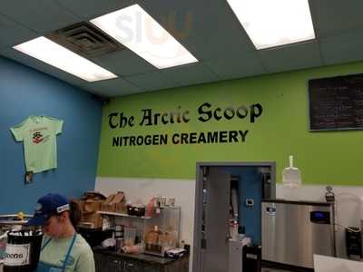 The Arctic Scoop